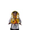 Sprayhood Universal