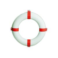 Κυκλικο Πλευστικο Μεσο