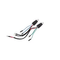 Wiring Harness Honda Ph200-Wh01