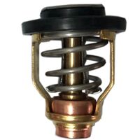 Thermostat 60° Yamaha 67f-12411-01