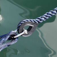 Ροδαντζα Λαστιχενια