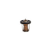 Thermostat Suzuki Rec17670-94j01
