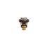 Thermostat Suzuki Rec17670-87j00