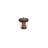 Thermostat Suzuki Rec17670-94j01