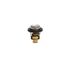 Thermostat Suzuki Rec17670-93962
